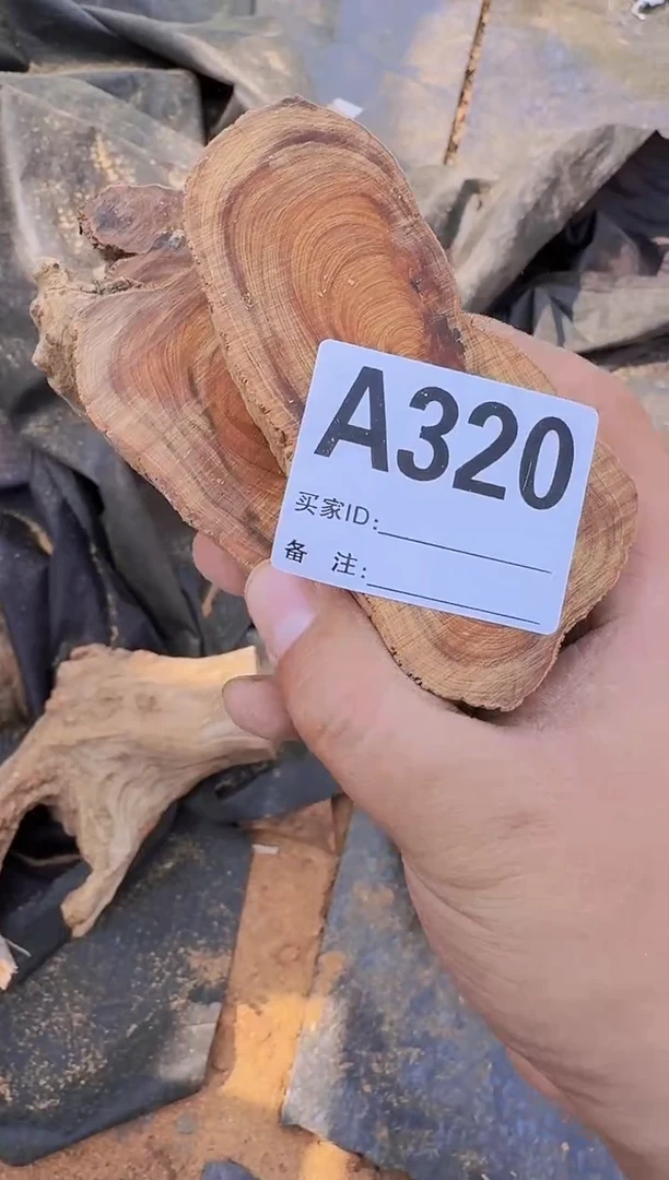 【闪购商品】柏木（崖柏）太行崖柏陈化一片