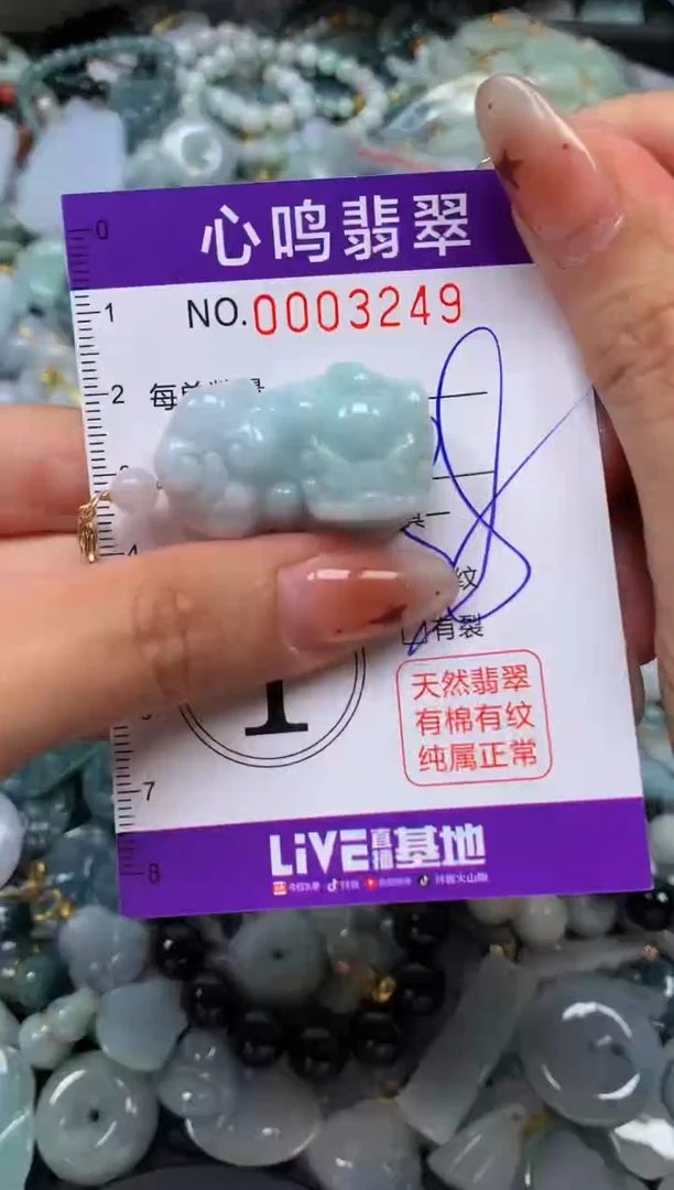 翡翠未镶嵌颈饰闪购003249
