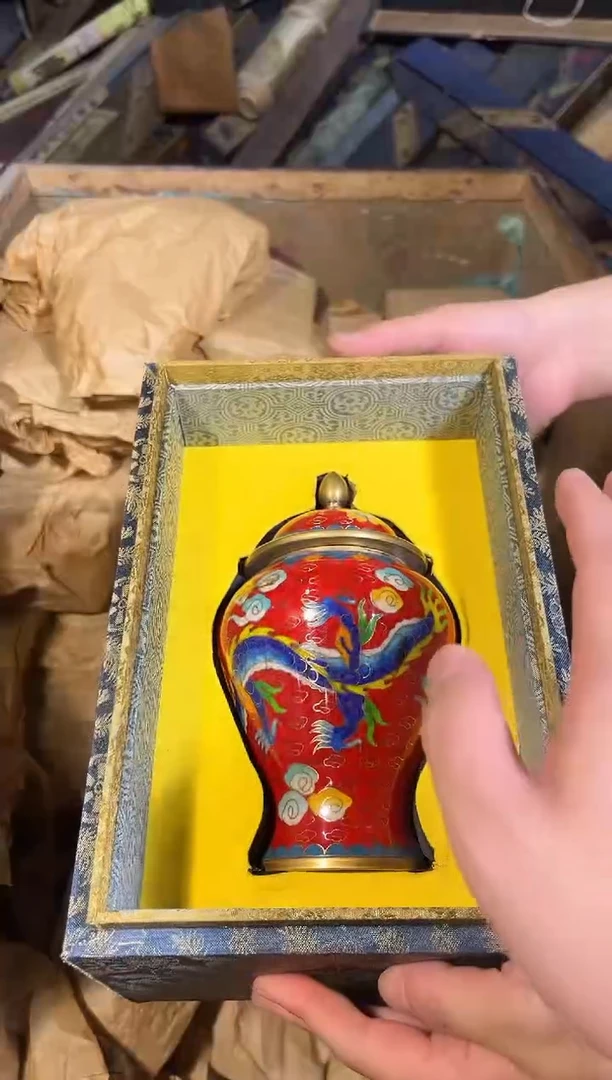 黄杨木11111111111111111