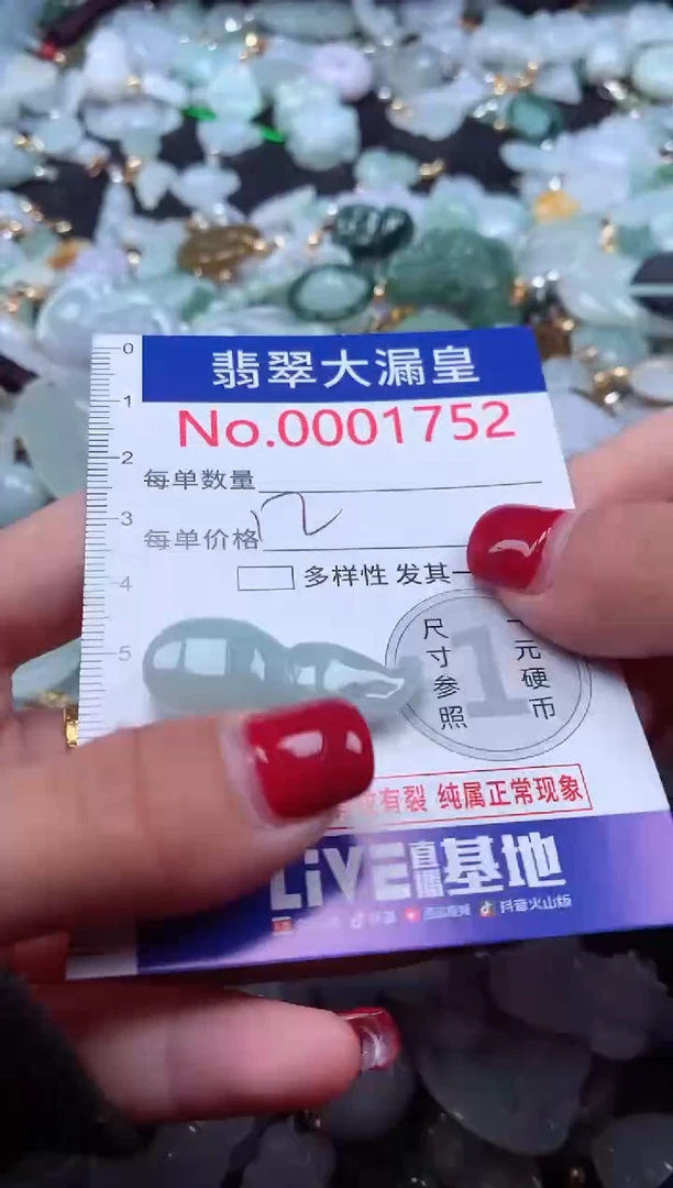 颈饰未镶嵌翡翠1752