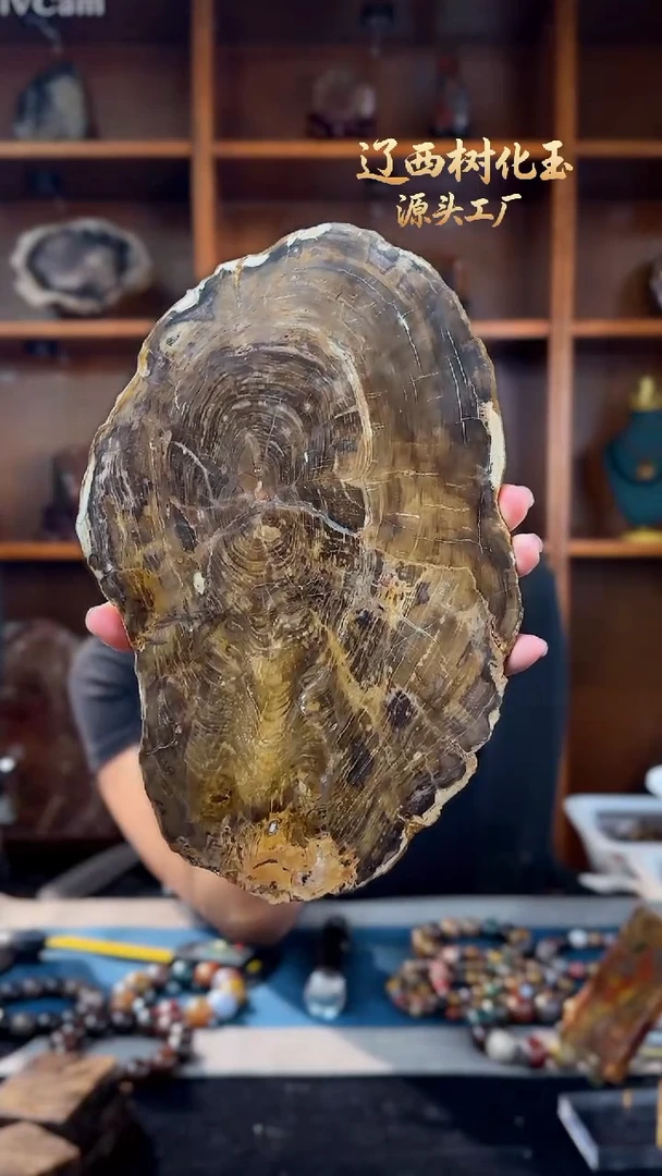 未镶嵌-硅化玉天然北票硅化玉手串原石