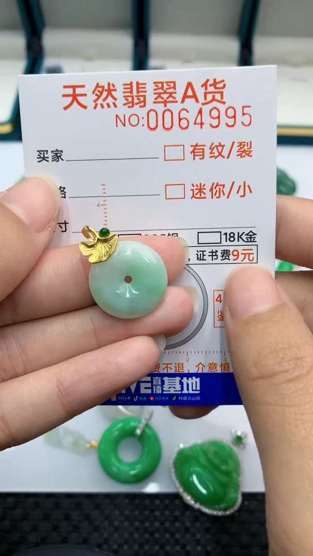 【闪购商品】翡翠颈饰银S925镶嵌            8