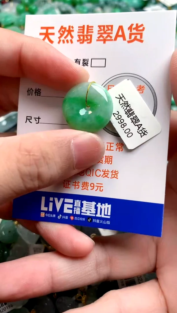 颈饰未镶嵌翡翠0198140111