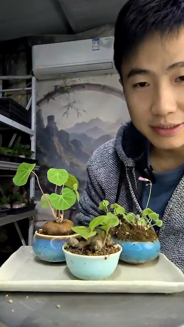 ?***水中青园艺一物一拍56