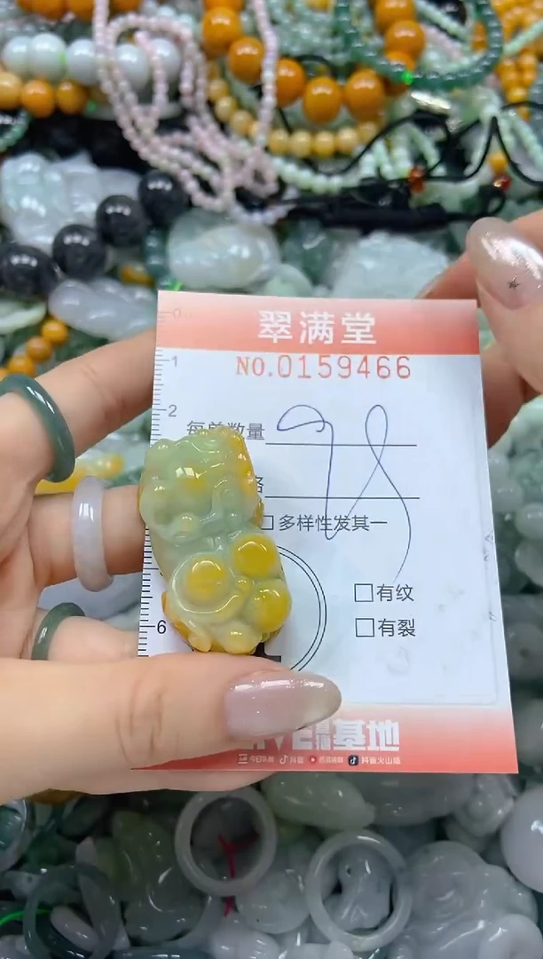 翡翠未镶嵌颈饰闪购0159466