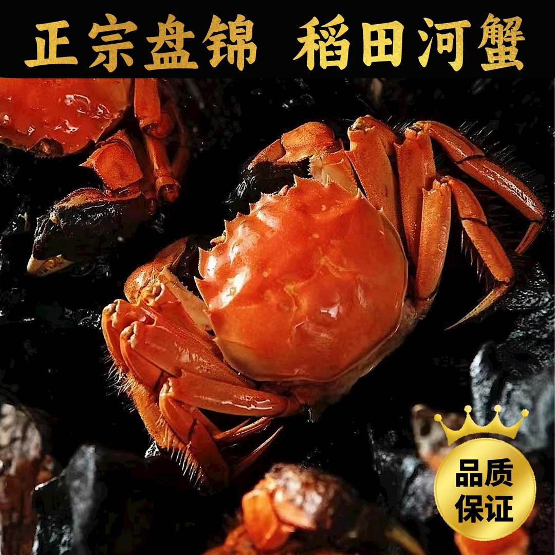 盘锦稻田蟹1.4-1.6两 母蟹 2斤 顺丰包邮