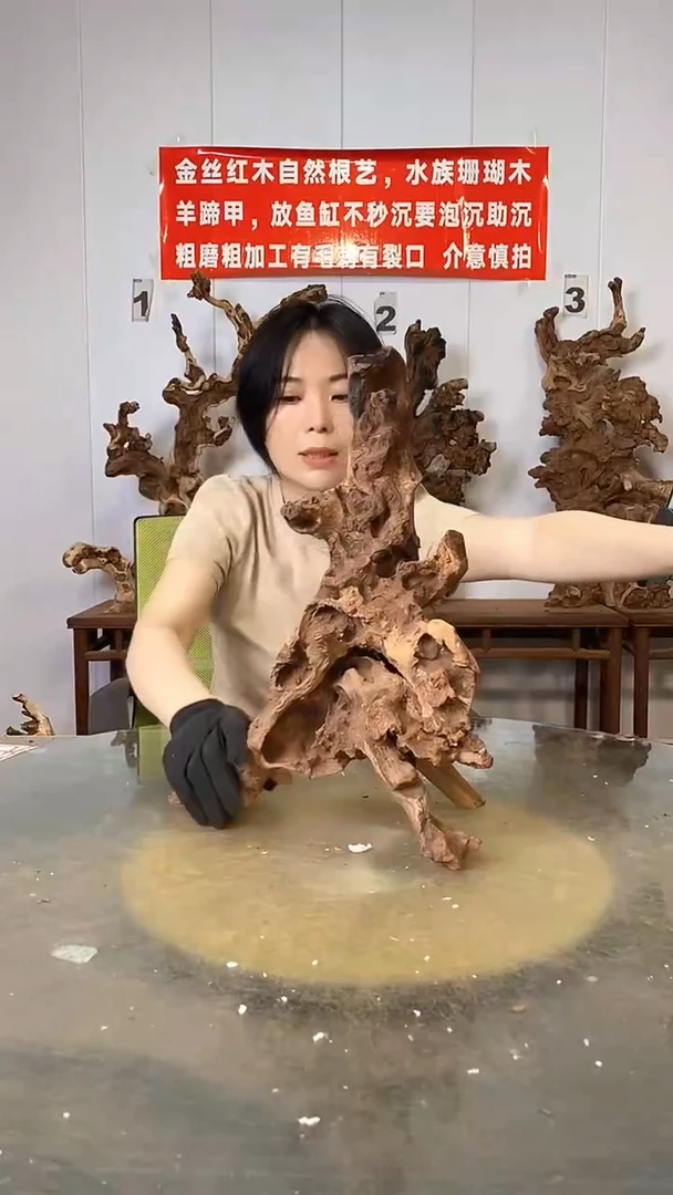 香榧木金丝红木  羊蹄甲