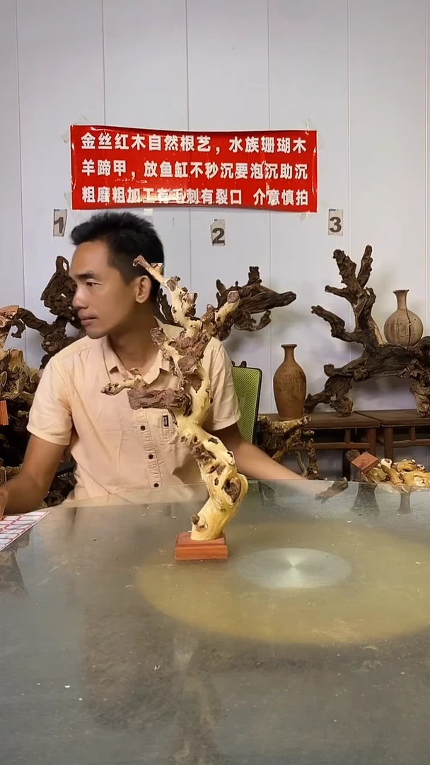香榧木梦***￥金丝红木   羊蹄甲