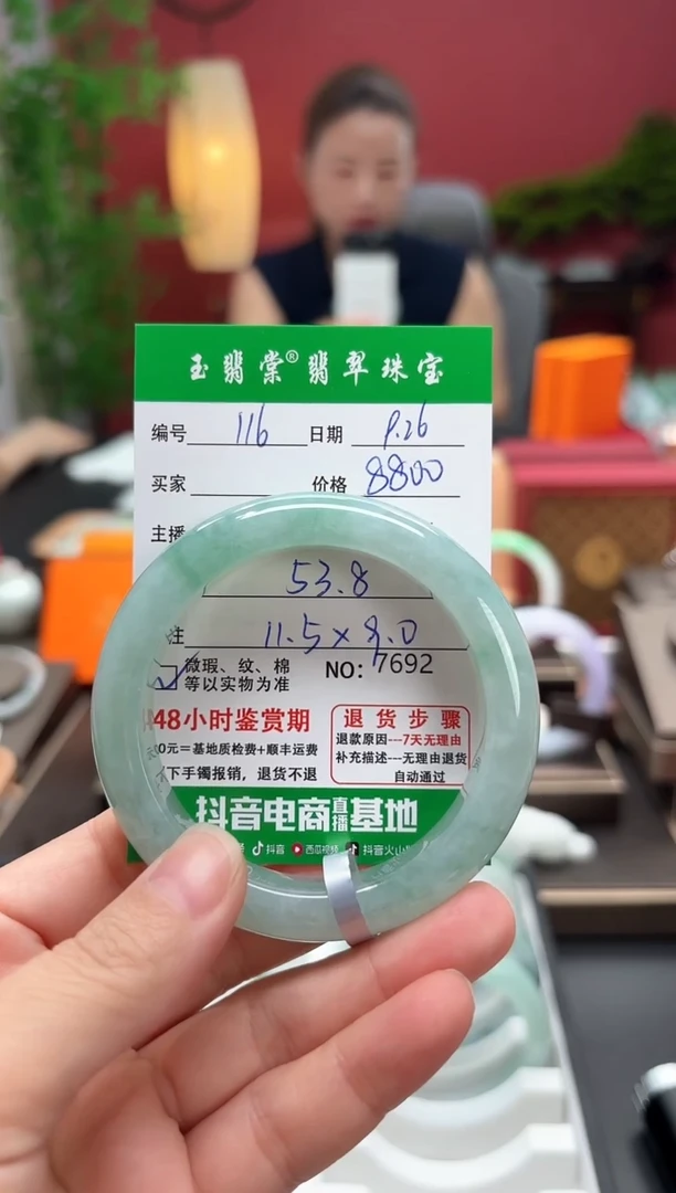 未镶嵌手镯翡翠翡翠116