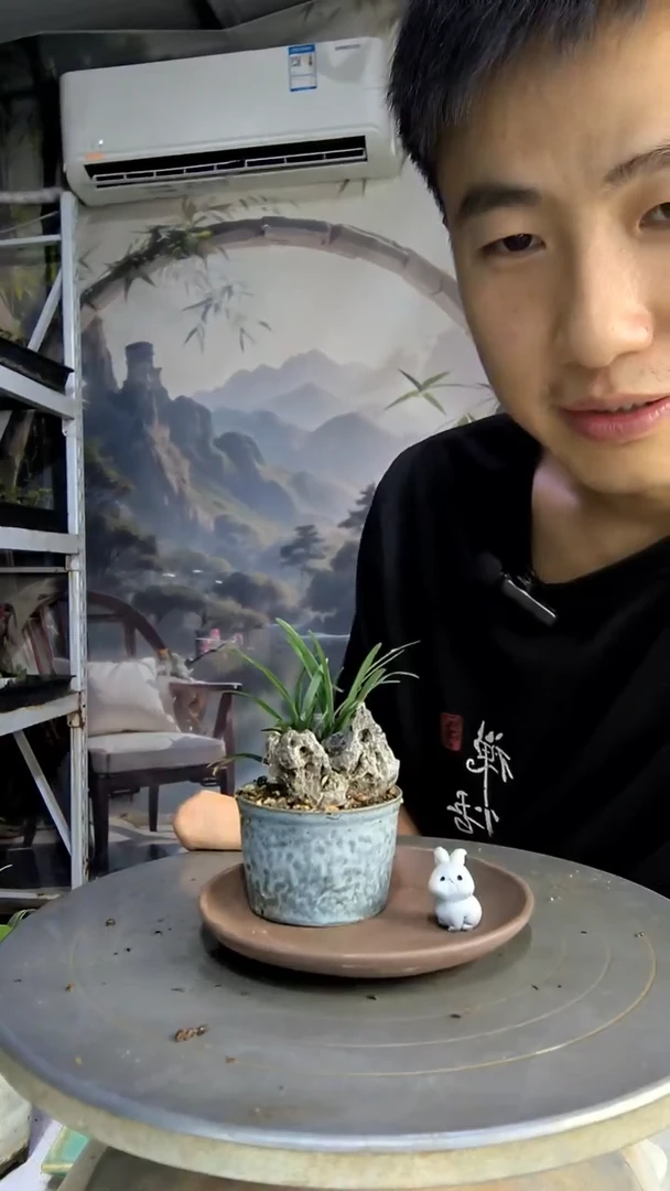 咖***糖中青园艺一物一拍204