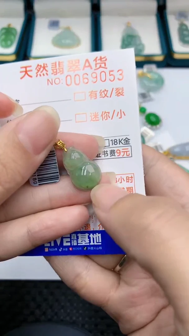 【闪购商品】翡翠颈饰18K金镶嵌            8