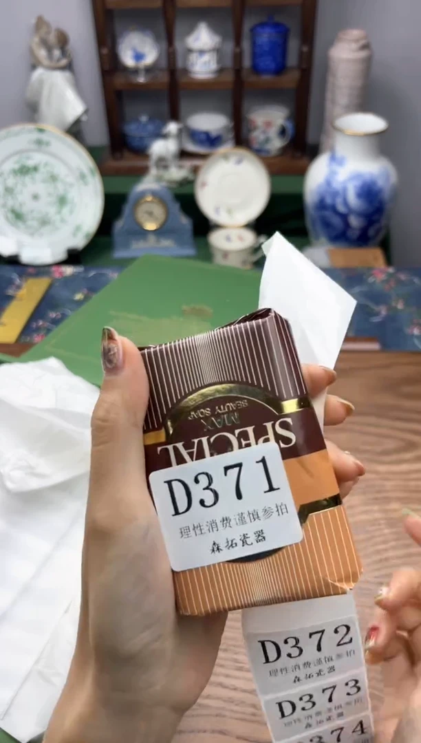 瓷片       D371