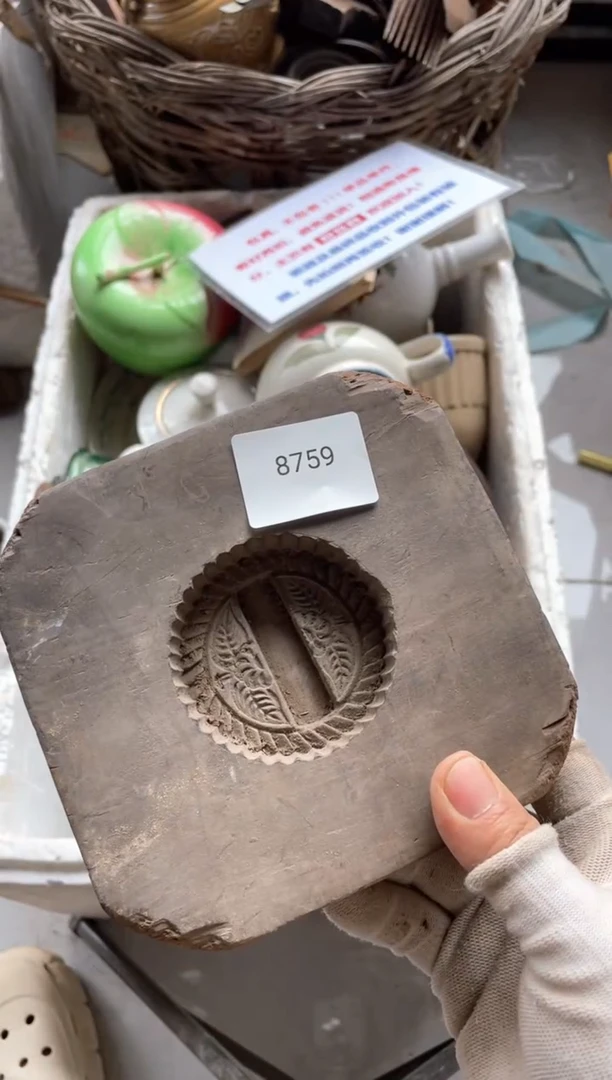 器556677882505308759