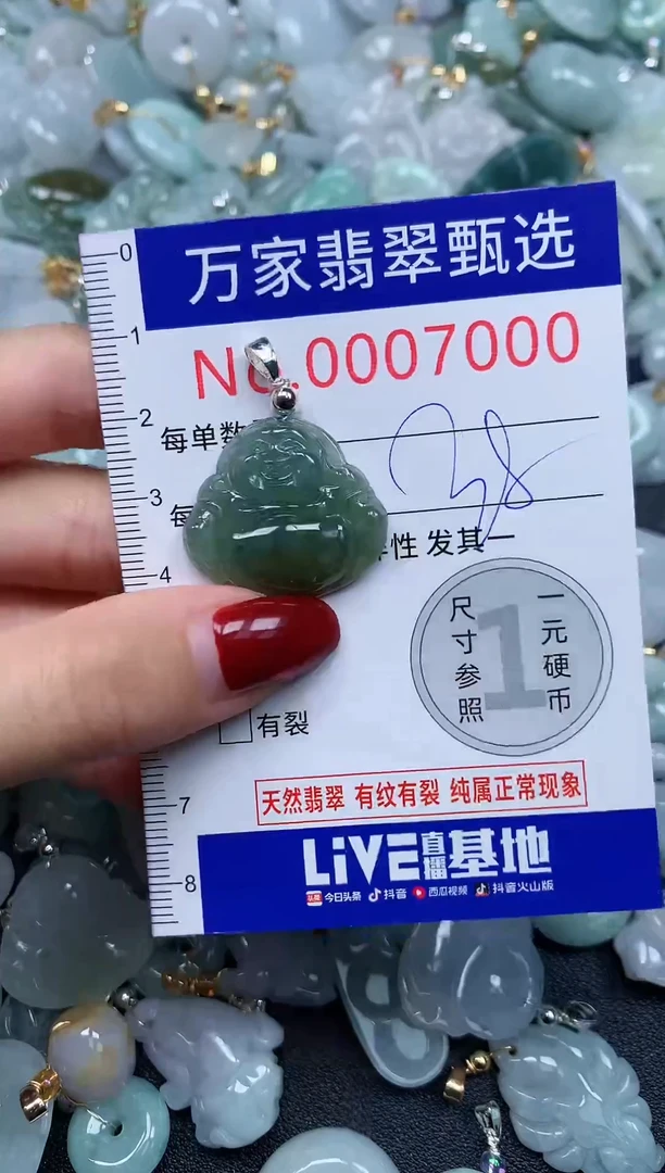 颈饰未镶嵌翡翠7000