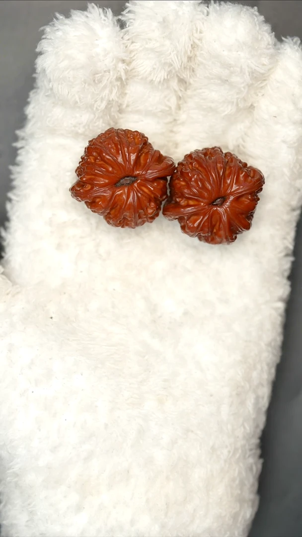 文玩核桃把件壹*红核桃白狮子34