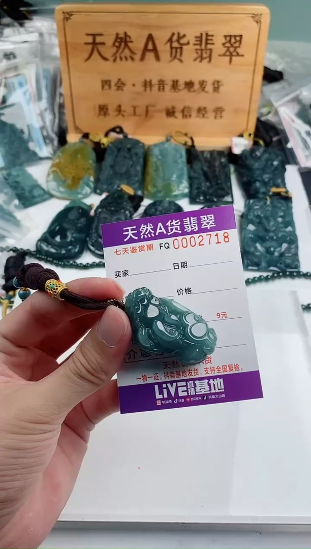 颈饰未镶嵌翡翠多样性随机一件发货 貔貅38