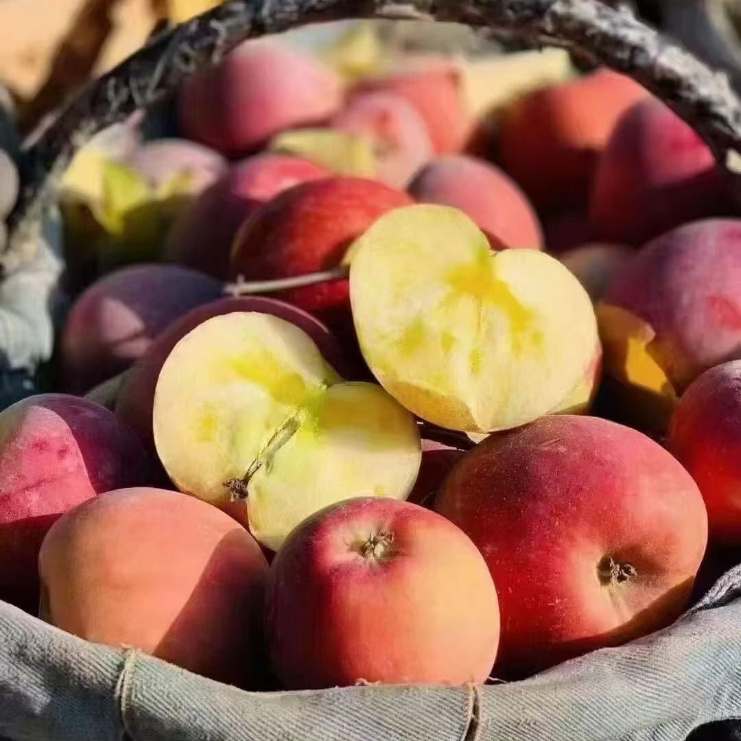 云南昭通冰糖心丑苹果新鲜现摘脆甜水果