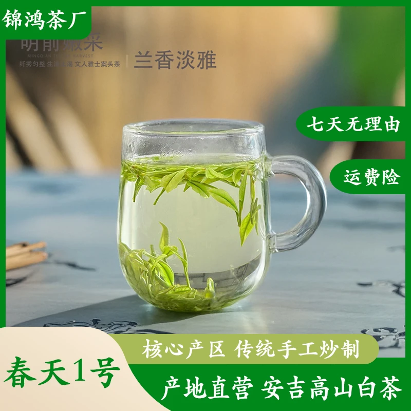 春天一号安吉明前高山正宗绿茶白茶口粮茶兰花香安吉新茶白茶茶叶