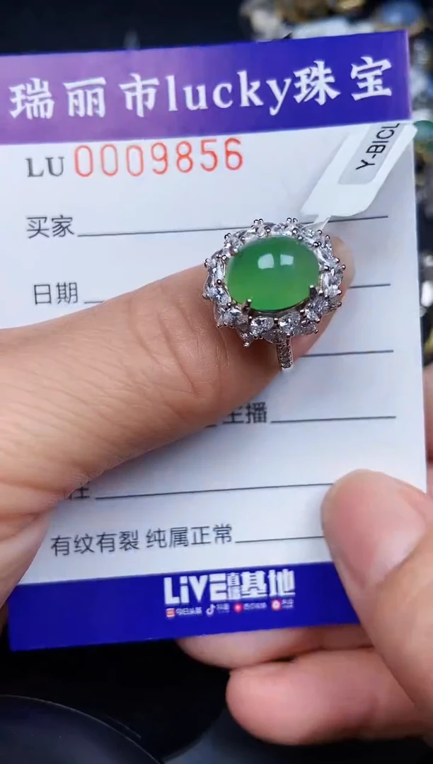 翡翠银S925镶嵌颈饰9856