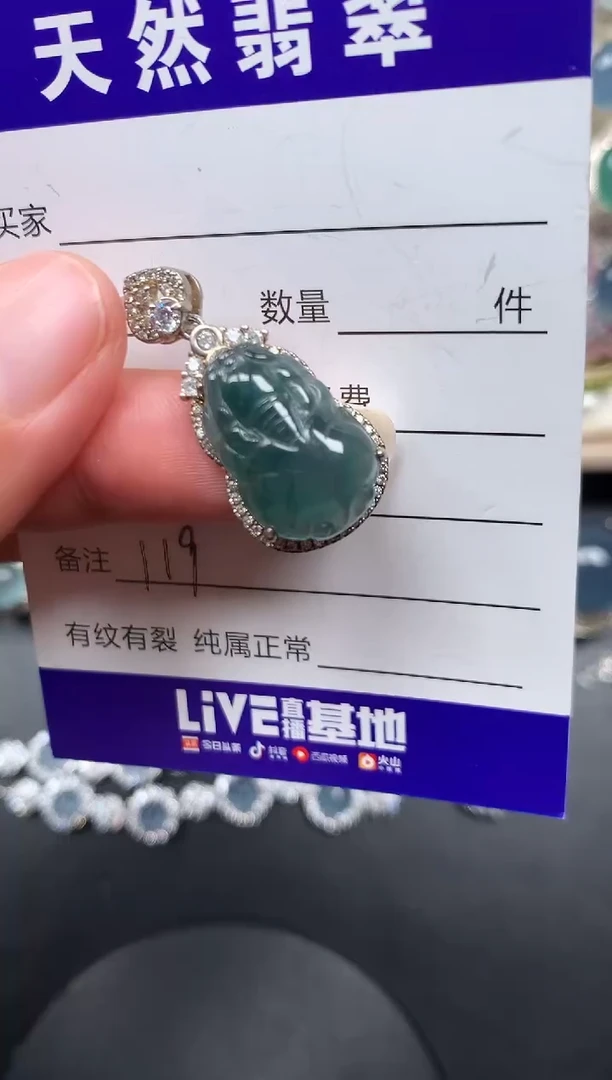 颈饰银S925镶嵌翡翠119
