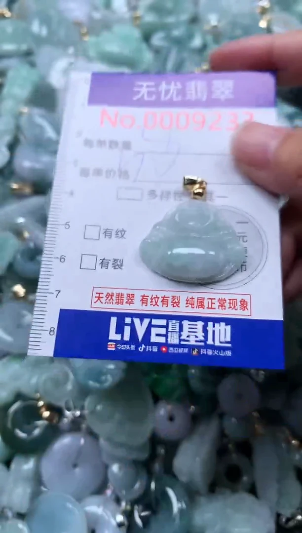 颈饰未镶嵌翡翠9233