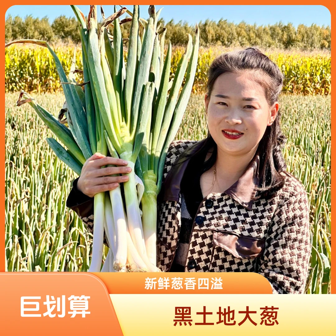 黑龙江新鲜铁杆大葱，下单现挖发货！
