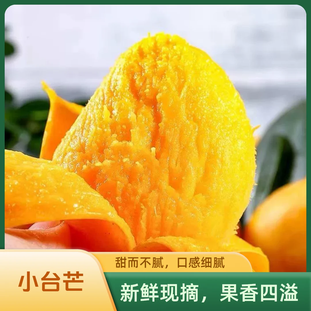 【浓郁香甜】台芒云南台农芒新鲜应季芒果水果现摘热带应季水果