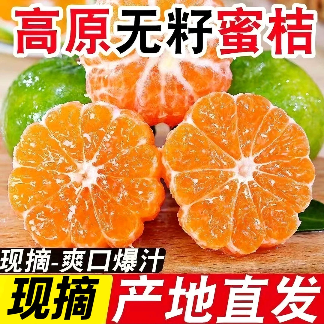 现摘湖北宜昌高山早熟青皮蜜橘薄皮橘子当季孕妇新鲜