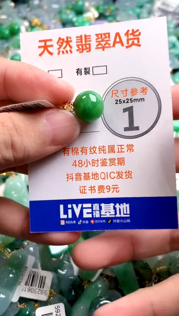 颈饰未镶嵌翡翠0734826703