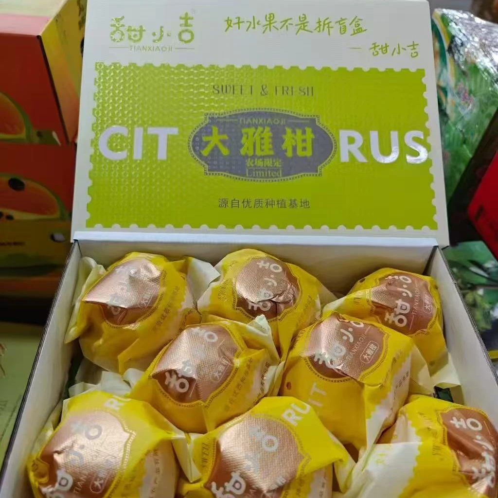 甜小吉大雅柑/1箱8斤左右【阿班果业】四川省