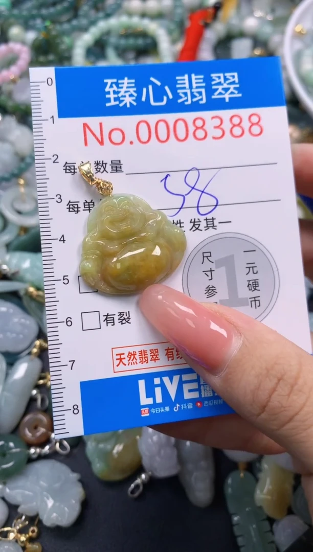 翡翠未镶嵌颈饰8388