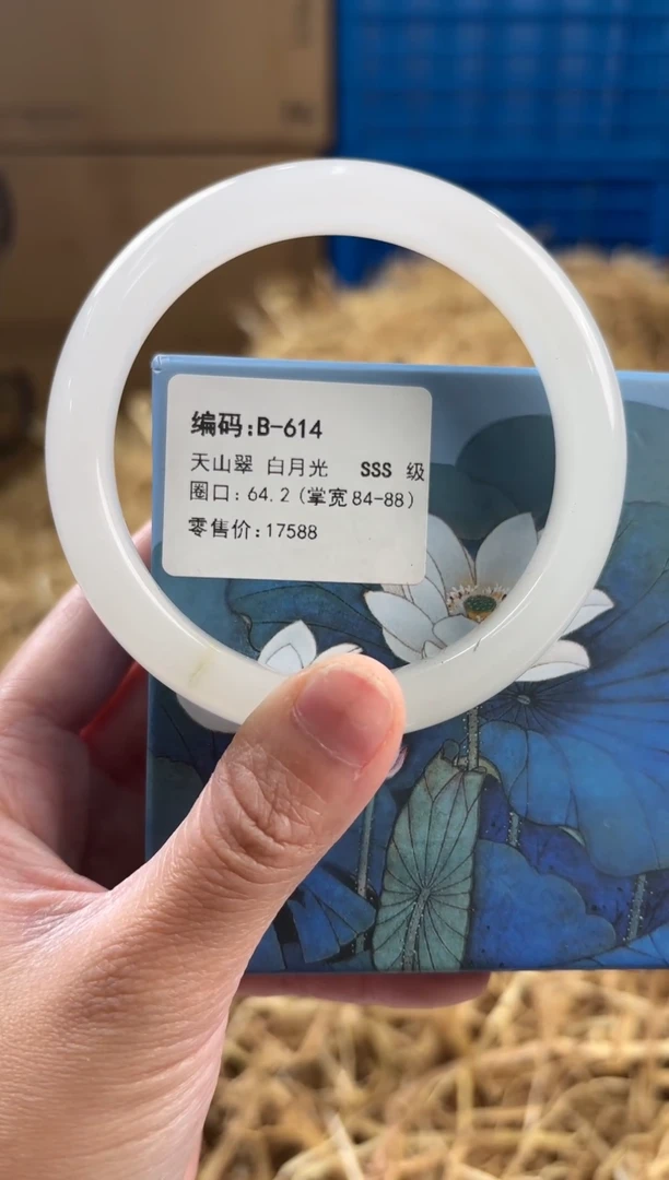 未镶嵌手镯石英质玉B-614