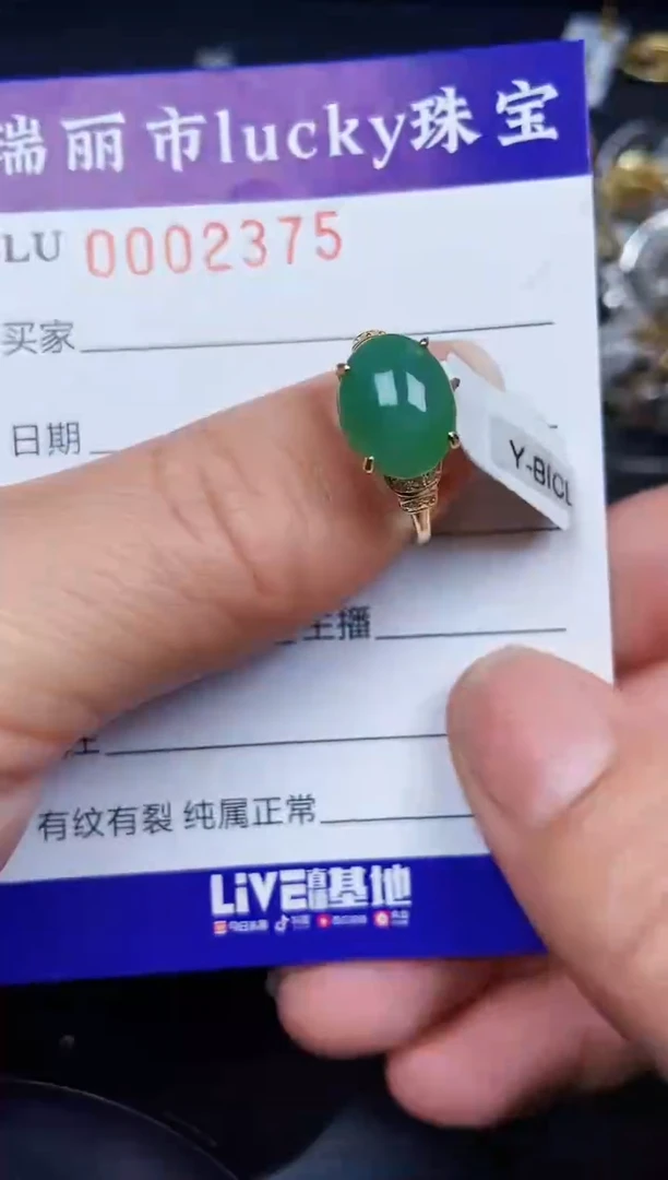 翡翠银S925镶嵌颈饰2375