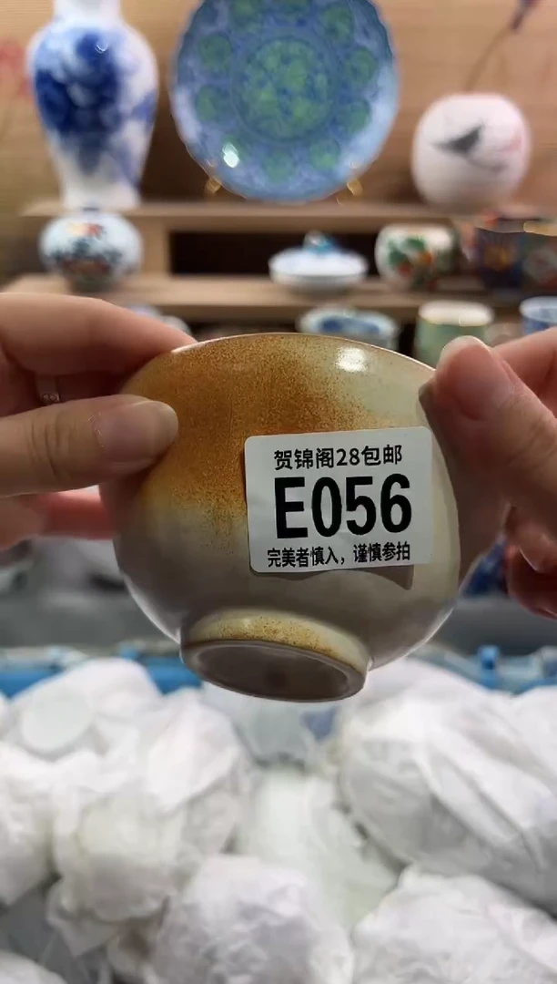 瓷片          E056