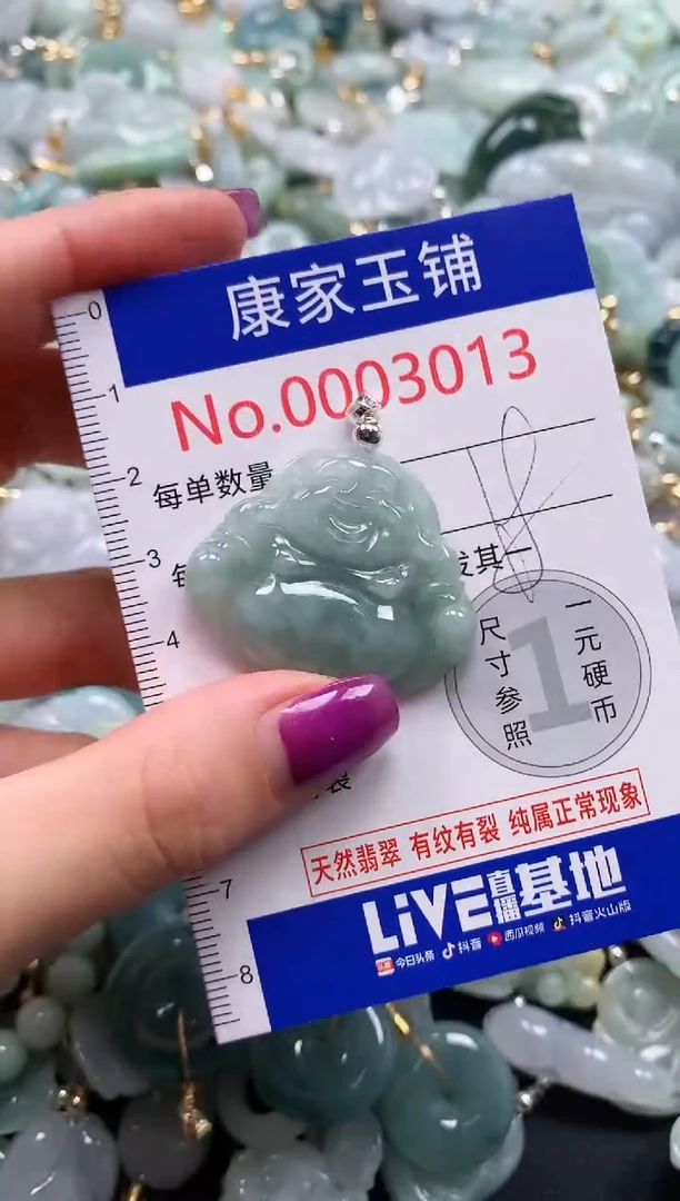 颈饰未镶嵌翡翠3013