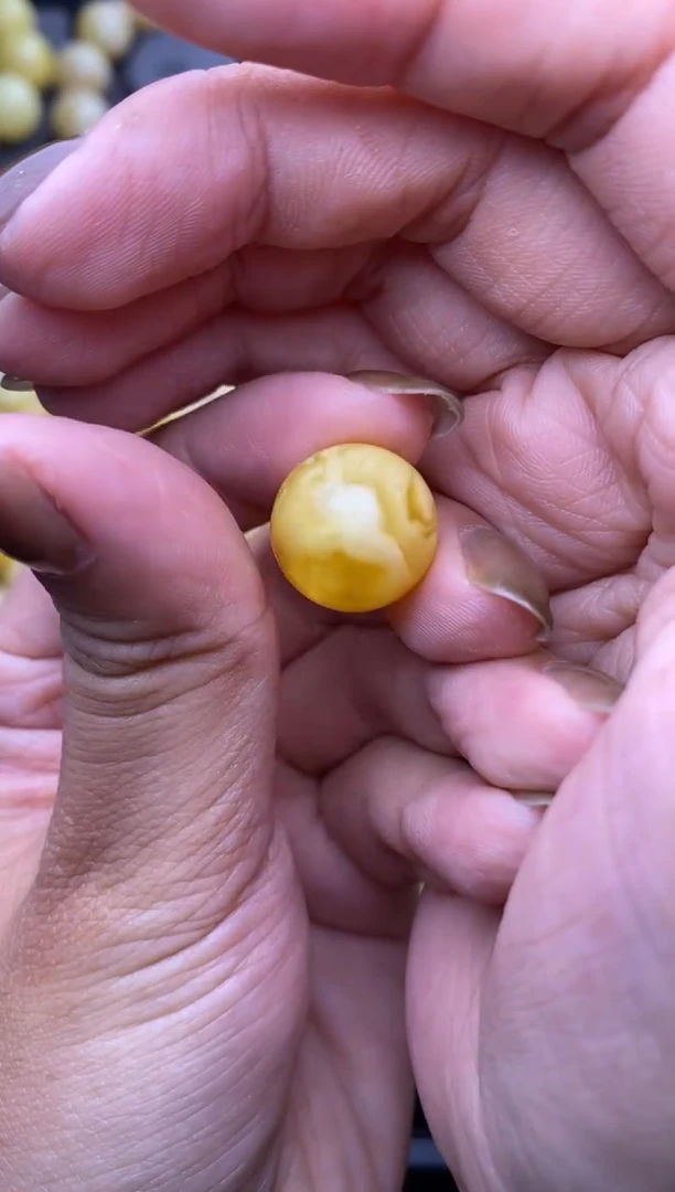 裸石琥珀未镶嵌大小姐珠宝6