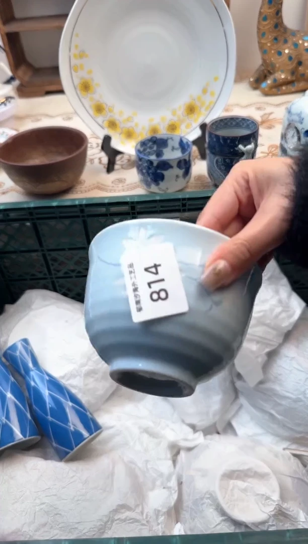 【闪购商品】瓷片Z           814