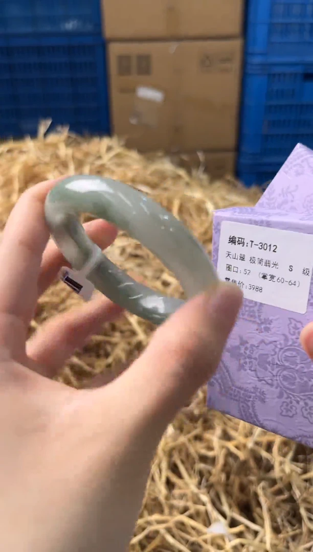 未镶嵌手镯石英质玉T-3012