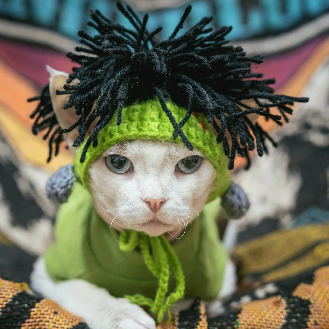 猫咪搞笑帽子无毛猫斯芬克斯头套狗狗德文朋克雷鬼摇滚风装饰变装