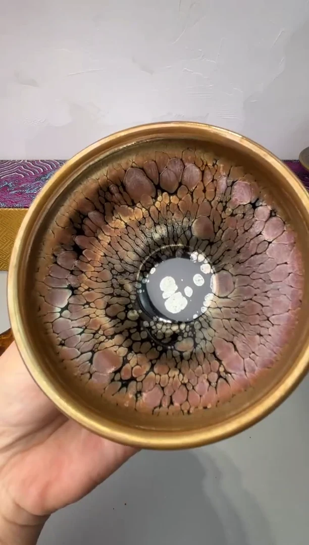 茶盏春申阁福利1只冠军