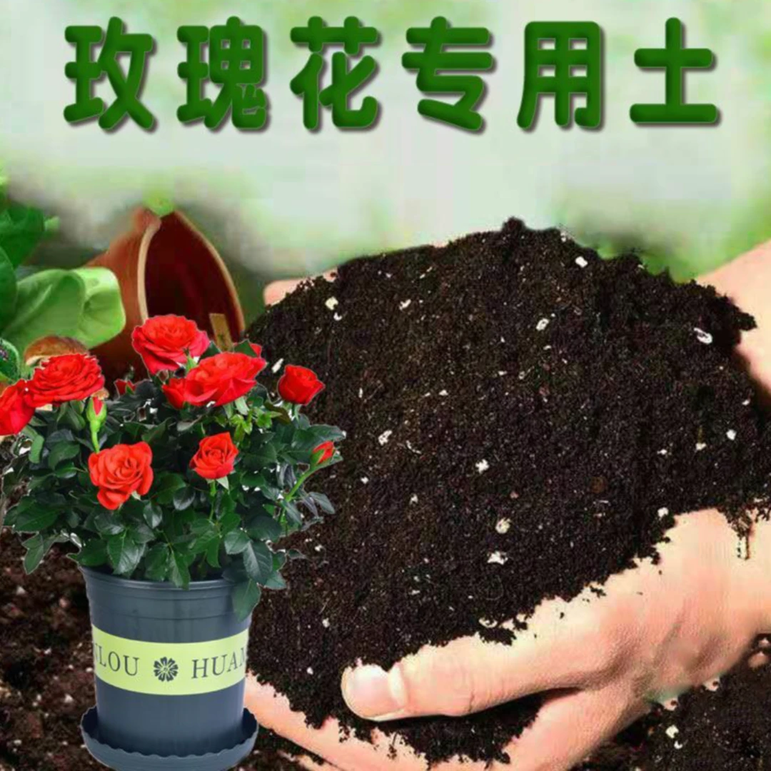 玫瑰月季专用土 到手4斤不结版疏松透气