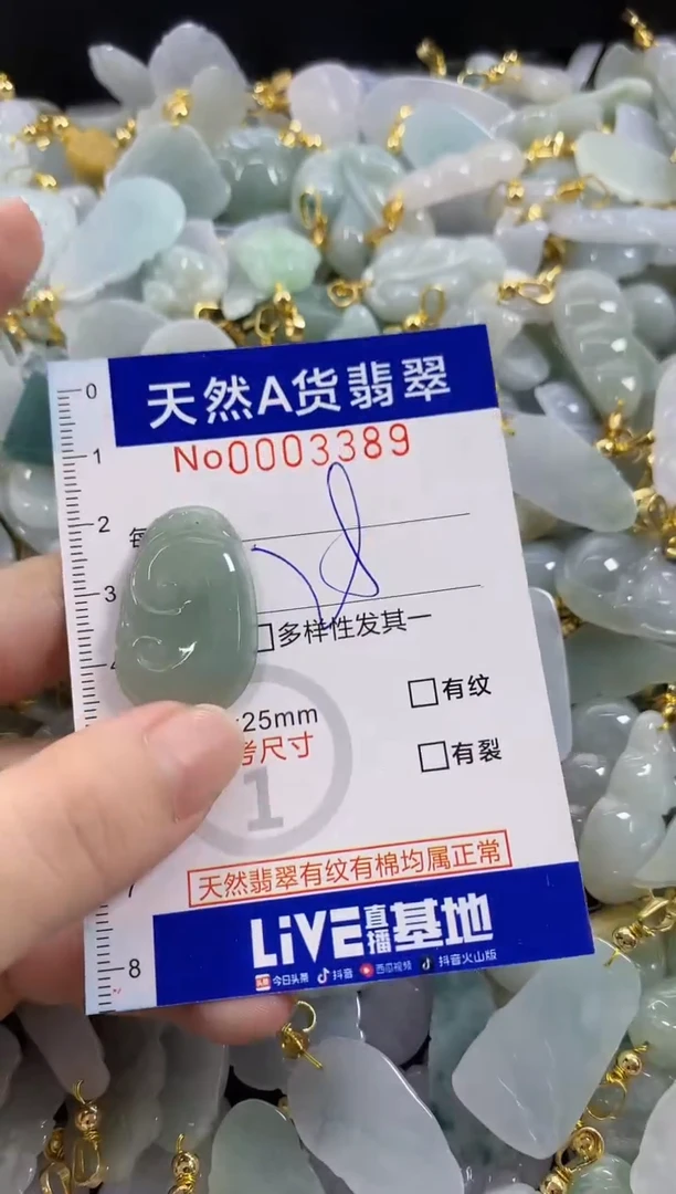 颈饰未镶嵌翡翠天然A货翡翠