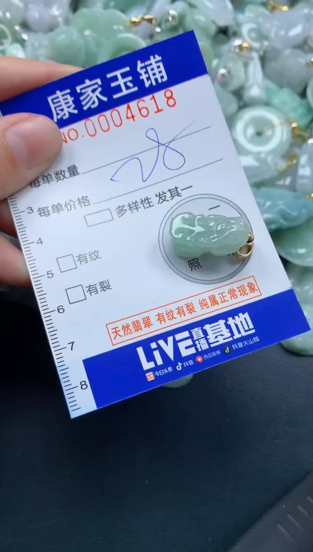 颈饰未镶嵌翡翠4618