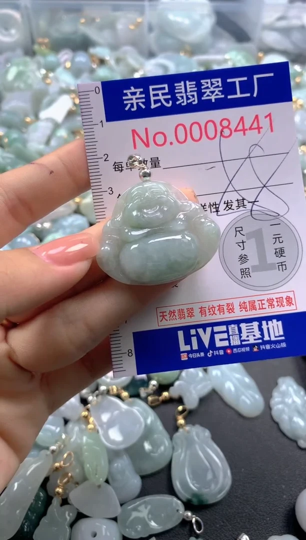 颈饰未镶嵌翡翠8441