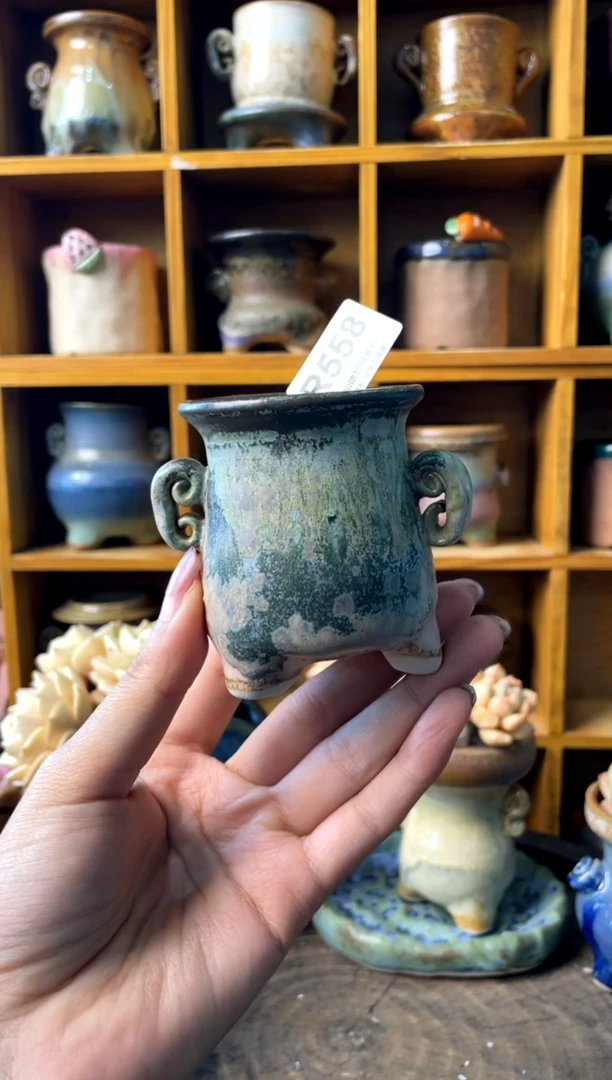 波****o558【多肉花盆多肉盆】1