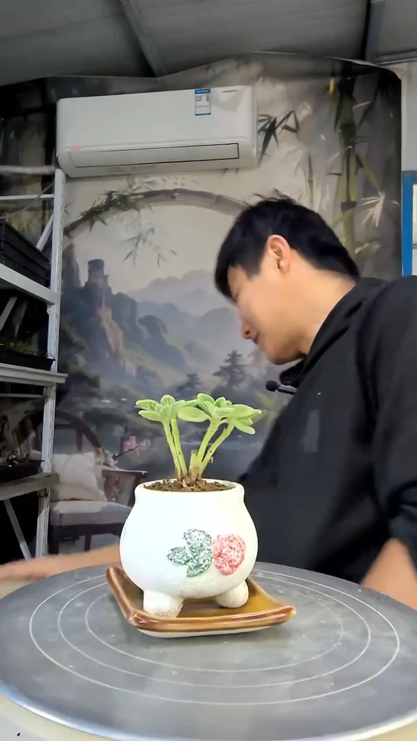 净****嗑中青园艺一物一拍花434