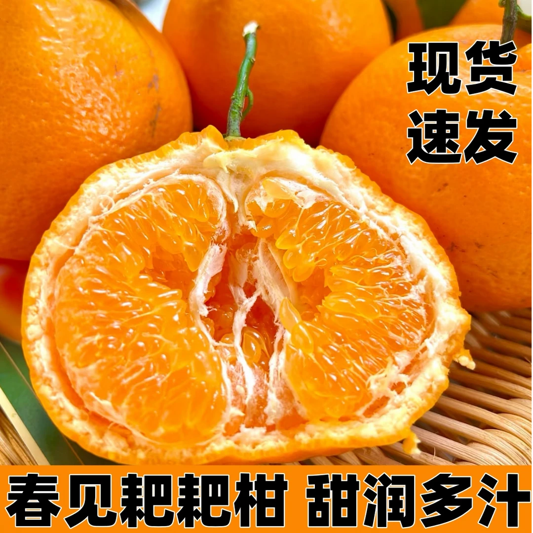 四川春见耙耙柑 当季热卖 应季耙耙柑新鲜爆汁多汁爽口细腻S