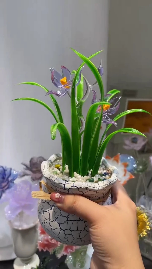 琉璃24兰花
