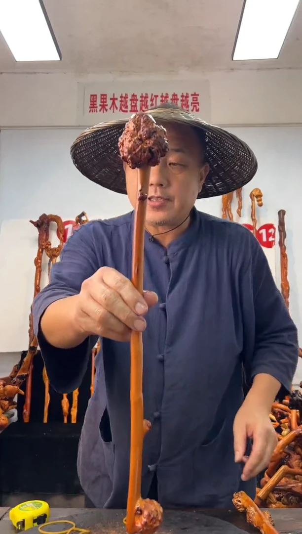 黑果木其他黑果木746