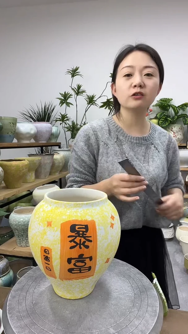 11.9陶瓷花盆直播链接高.    19  口11